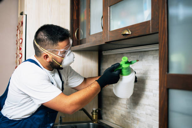 Best Best Pest Control Companies  in Lincoln, ND