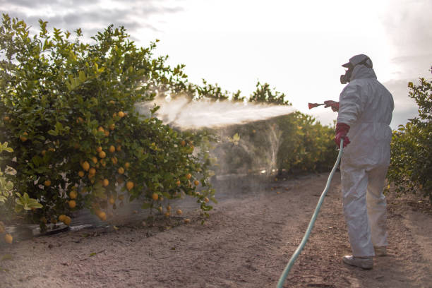 Best Pest Removal Services  in Lincoln, ND