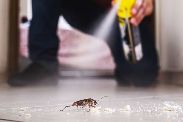 Best Local Pest Control Services  in Lincoln, ND
